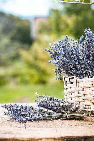 simsearch:400-05372314,k - Lavender background. Lavender flower bunch on wood. Floral background Stockbilder - Microstock & Abonnement, Bildnummer: 400-09222922