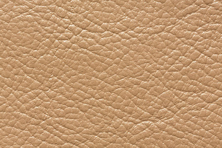 Amazing light leather texture with relief surface. High resolution photo. Stock Photo - Budget Royalty-Free & Subscription, Code: 400-09223650