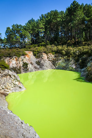 simsearch:400-07678701,k - green lake in Waiotapu geothermal area, Rotorua, New Zealand Stock Photo - Budget Royalty-Free & Subscription, Code: 400-09223813