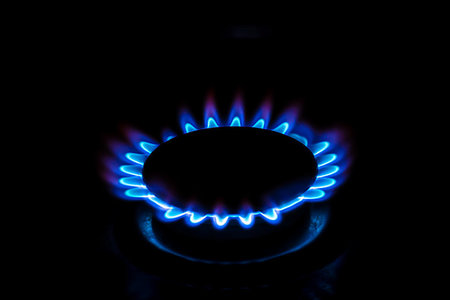A gas burner with blue burning gas looks like flower Photographie de stock - Aubaine LD & Abonnement, Code: 400-09237809