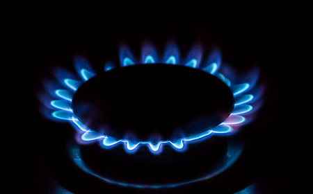A gas burner with blue burning gas looks like flower Photographie de stock - Aubaine LD & Abonnement, Code: 400-09237811