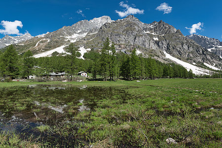 simsearch:400-09237738,k - beautiful landscape of Val Ferret in spring season with lake, little village, larches and mountains Grandes Jorasses in background, Italy Foto de stock - Royalty-Free Super Valor e Assinatura, Número: 400-09238127