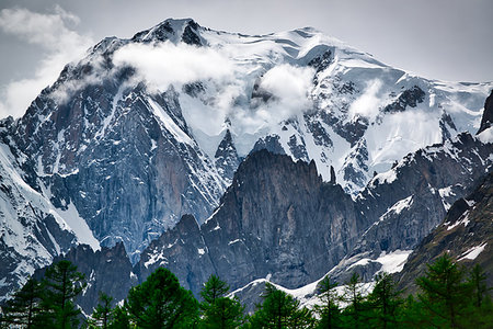 simsearch:400-09238153,k - Glacier of Mont Blanc seen from the Ferret Valley in spring season with clouds on the summit and trees in foreground, Aosta Valley - Italy Stockbilder - Microstock & Abonnement, Bildnummer: 400-09238154