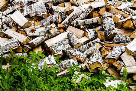 simsearch:400-04882349,k - Chopped logs for winter fire. Pile of chopped fire wood prepared for winter. Chopped firewood texture background Foto de stock - Super Valor sin royalties y Suscripción, Código: 400-09238257