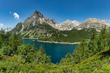 simsearch:400-09237738,k - Devero Alp and lake Codelago in a beautiful day of summer season with blue sky in background, Piedmont - Italy Foto de stock - Royalty-Free Super Valor e Assinatura, Número: 400-09238318