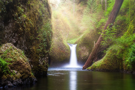 simsearch:400-09224968,k - Sun ray beams over Punch Bowl Falls waterfall along Eagle Creek at Columbia River Gorge in Oregon Foto de stock - Royalty-Free Super Valor e Assinatura, Número: 400-09268401