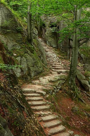 Path in mountains to old castle in Poland Stock Photo - Budget Royalty-Free & Subscription, Code: 400-09274006