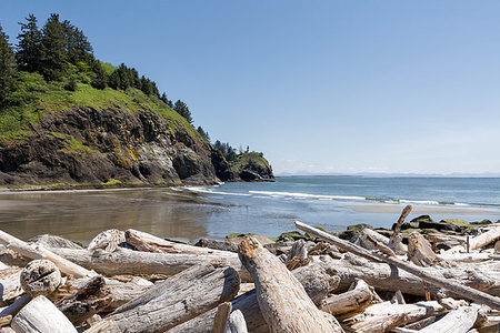Driftwood at Waikiki Beach by Lighthouse at Cape Disappointment State Park in Washington State Foto de stock - Super Valor sin royalties y Suscripción, Código: 400-09274016