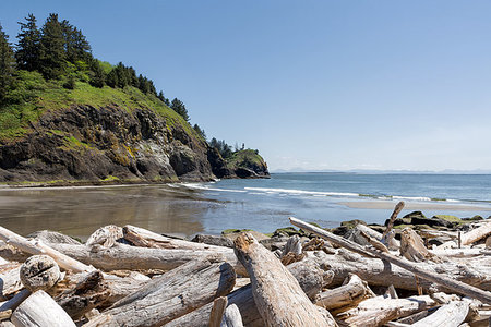 simsearch:400-09224968,k - Driftwood at Waikiki Beach by Lighthouse at Cape Disappointment State Park in Washington State Foto de stock - Royalty-Free Super Valor e Assinatura, Número: 400-09274016