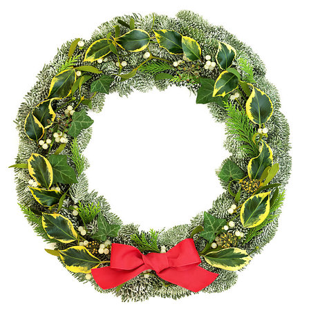 simsearch:400-07614285,k - Traditional winter and Christmas natural wreath with snow covered spruce pine fir, mistletoe, cedar and ivy leaves with red bow isolated on white background. Stock Photo - Budget Royalty-Free & Subscription, Code: 400-09274158
