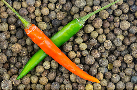 two peppers green and red pod cross-hair on a background of large perculent fragrant pepper Stock Photo - Budget Royalty-Free & Subscription, Code: 400-09274206