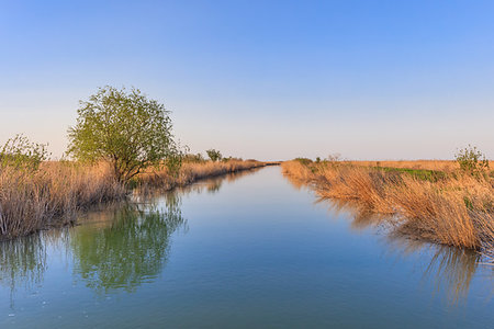 danube delta - landscape in the Danube Delta, Romania, Europe Stock Photo - Budget Royalty-Free & Subscription, Code: 400-09274250