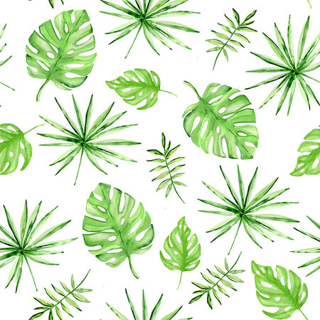 simsearch:400-09011216,k - Watercolor summer tropical seamless pattern with green palm leaves on a white background Foto de stock - Super Valor sin royalties y Suscripción, Código: 400-09274693