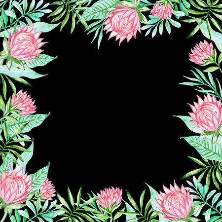 simsearch:400-09011216,k - Watercolor summer floral frame with pink tropical flowers and green palm leaves on a black background Foto de stock - Super Valor sin royalties y Suscripción, Código: 400-09274808