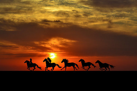 simsearch:400-09089385,k - Horses riders galloping at sunrise Photographie de stock - Aubaine LD & Abonnement, Code: 400-09274905