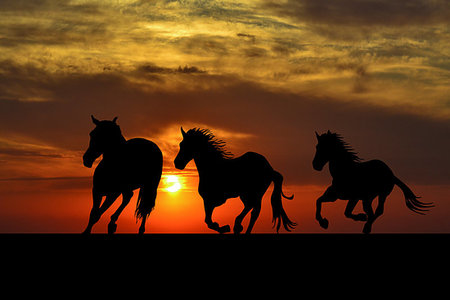 running horses images in sunrise - Silhouette of horses galloping at sunrise Stock Photo - Budget Royalty-Free & Subscription, Code: 400-09274907