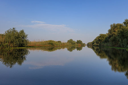 simsearch:400-07035910,k - landscape in the Danube Delta, Romania, Europe Foto de stock - Super Valor sin royalties y Suscripción, Código: 400-09274976