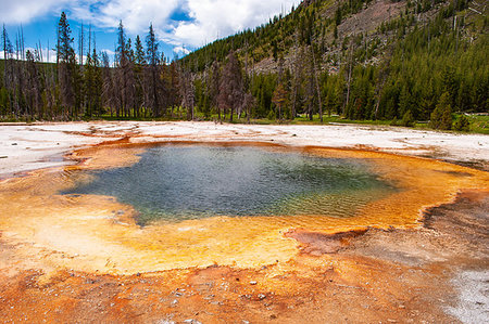 simsearch:400-06135316,k - Hot thermal waters in Yellowstone National Park Photographie de stock - Aubaine LD & Abonnement, Code: 400-09275122