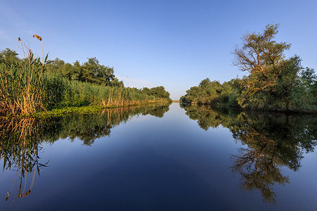 danube delta - landscape in the Danube Delta, Romania, Europe Stock Photo - Budget Royalty-Free & Subscription, Code: 400-09275525