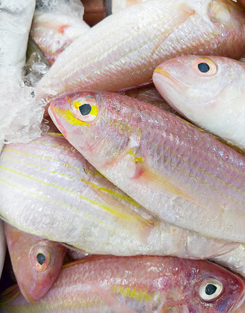 Fresh red fish is stacked in the tray with ice,local market near the sea, Thailand. Foto de stock - Royalty-Free Super Valor e Assinatura, Número: 400-09273686