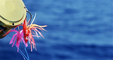 Close-up of lures used for deep sea fishing Stock Photo - Budget Royalty-Free & Subscription, Code: 400-03907933