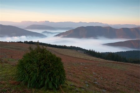 simsearch:400-04442144,k - Sunrise over the fog in winter Fotografie stock - Microstock e Abbonamento, Codice: 400-03908999