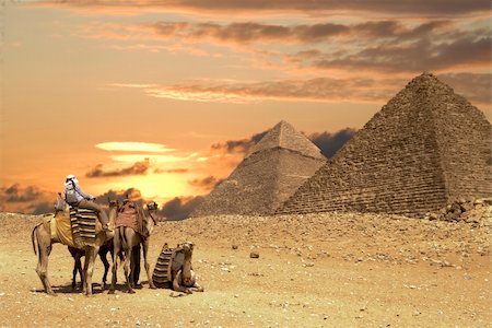 Tourists on Camel near the Great Pyramids of Gizeh Cairo Egypt. Photographie de stock - Aubaine LD & Abonnement, Code: 400-03909445