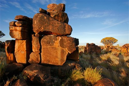 simsearch:400-04470445,k - Desert landscape at sunrise with granite rocks and a quiver tree (Aloe dichotoma), Namibia Stockbilder - Microstock & Abonnement, Bildnummer: 400-03909555