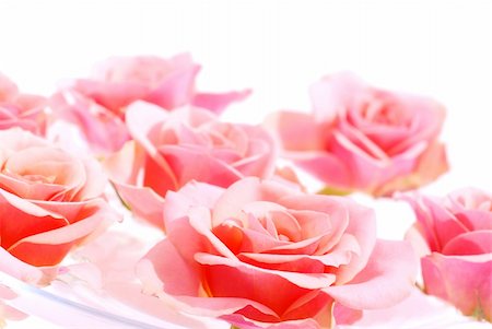 simsearch:400-03911104,k - Pink roses floating in water with white space for copy Photographie de stock - Aubaine LD & Abonnement, Code: 400-03909792