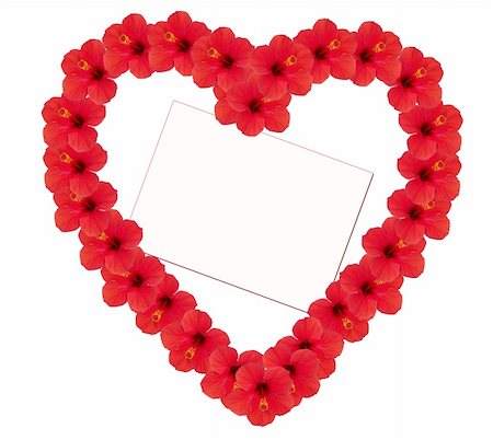simsearch:400-05287751,k - The image of heart from flowers hibiscus with a card for an inscription Fotografie stock - Microstock e Abbonamento, Codice: 400-03914584