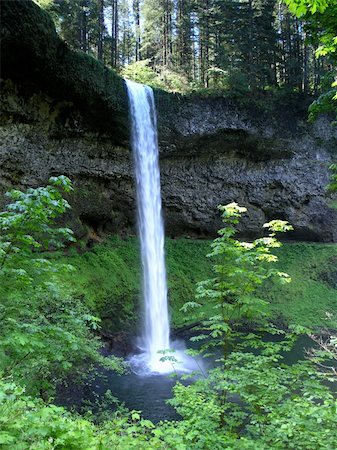 río de la plata - Silver Falls State Park, Oregon Foto de stock - Super Valor sin royalties y Suscripción, Código: 400-03914656