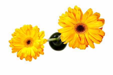 simsearch:400-03928997,k - Orange gerberas in a green wine bottle viewed from above Photographie de stock - Aubaine LD & Abonnement, Code: 400-03914966