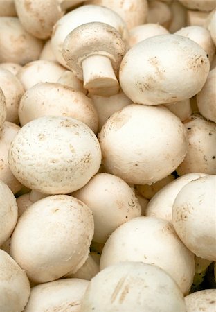 simsearch:649-07437090,k - A bunch of fresh organic white mushrooms Photographie de stock - Aubaine LD & Abonnement, Code: 400-03915763