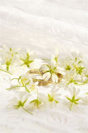 simsearch:400-04574409,k - Wedding still-life with accessories of the bride Stock Photo - Budget Royalty-Free & Subscription, Code: 400-03916492
