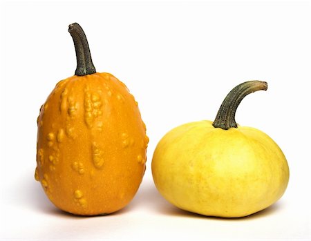 simsearch:600-06808828,k - Two little pumpkins yellow and orange on a white background. Foto de stock - Royalty-Free Super Valor e Assinatura, Número: 400-03916584