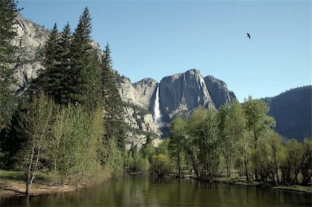 simsearch:400-04745545,k - Upper Yosemite Falls as seen over the Merced River. Photographie de stock - Aubaine LD & Abonnement, Code: 400-03916980