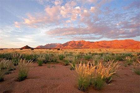 Grassland landscape at sunrise, Brandberg mountain, Namibia Stock Photo - Budget Royalty-Free & Subscription, Code: 400-03917032