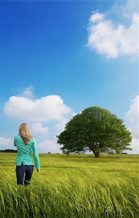 dreaming cloud girl - A lady walking in a field towards a tree. Stock Photo - Budget Royalty-Free & Subscription, Code: 400-03917414
