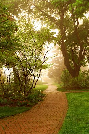 simsearch:400-03976229,k - Path in a green foggy park in the spring Photographie de stock - Aubaine LD & Abonnement, Code: 400-03918689