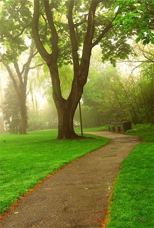 simsearch:400-07678715,k - Path in a green foggy park in the spring Foto de stock - Royalty-Free Super Valor e Assinatura, Número: 400-03918690