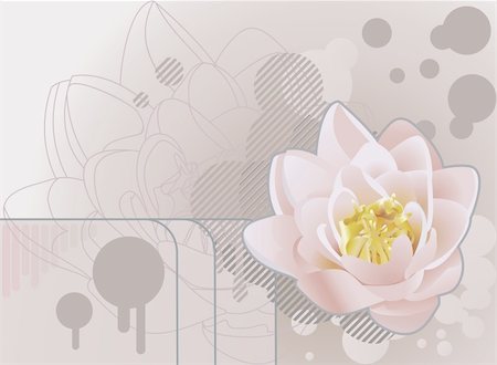 simsearch:400-03913273,k - A funky background featuring a beautiful lily or lotus. No meshes used. Foto de stock - Super Valor sin royalties y Suscripción, Código: 400-03918970