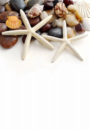 simsearch:400-03912387,k - Starfish, pebbles and seashells on white background Stock Photo - Budget Royalty-Free & Subscription, Code: 400-03910415