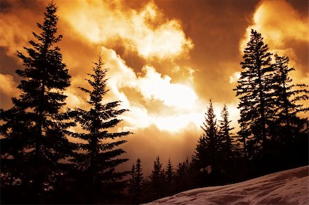 simsearch:400-03912042,k - Winter Landscape Photographie de stock - Aubaine LD & Abonnement, Code: 400-03910856