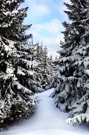 simsearch:695-03380848,k - swedish winter Stock Photo - Budget Royalty-Free & Subscription, Code: 400-03910859