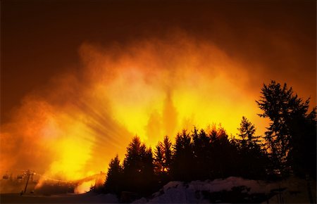 forest fire silhouette - Vivid Orange Sky with Pine Tree Silhouettes Stock Photo - Budget Royalty-Free & Subscription, Code: 400-03912378