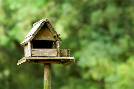 simsearch:695-03379065,k - an outdook cage to be home for birds Foto de stock - Royalty-Free Super Valor e Assinatura, Número: 400-03912591