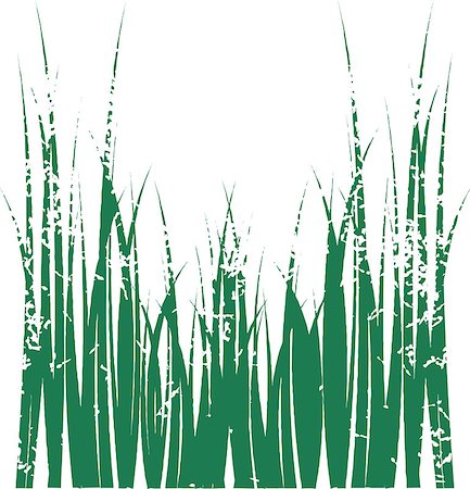 Vector grass Foto de stock - Super Valor sin royalties y Suscripción, Código: 400-03912626