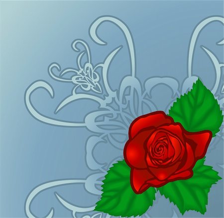 flower border design of rose - floral rose design element Stock Photo - Budget Royalty-Free & Subscription, Code: 400-03913311