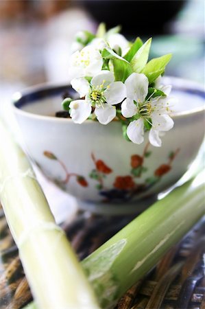 Tea in antique porcelian cup (genuine 18th century) with bamboo and blossom Stock Photo - Budget Royalty-Free & Subscription, Code: 400-03913721