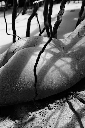 simsearch:400-04955255,k - Pretty Filipino nude young woman on beach in tree shadows in Maui, Hawaii. Stockbilder - Microstock & Abonnement, Bildnummer: 400-03924959
